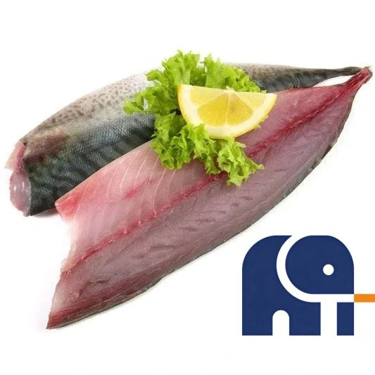 Filet z makreli pacyficznej bez kości