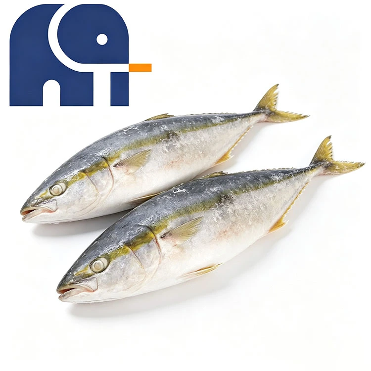 Mrożony Yellowtail Cała Runda