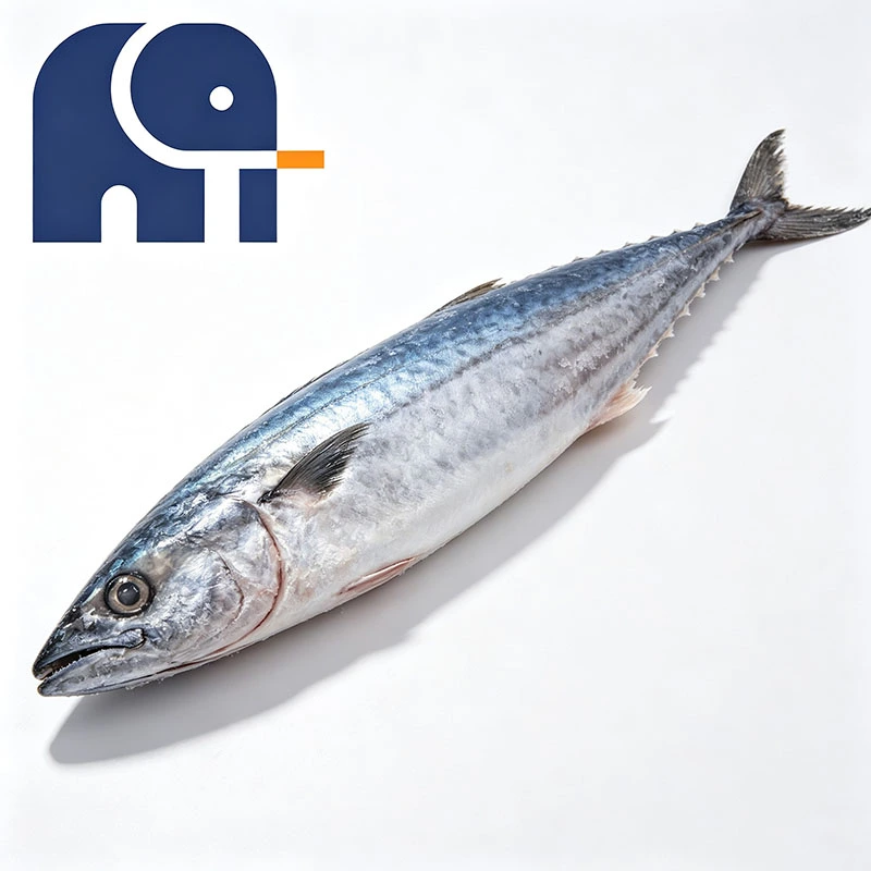 Spanish mackerel