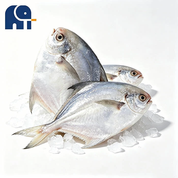 IQF z przeszkleniem Biały Pomfret