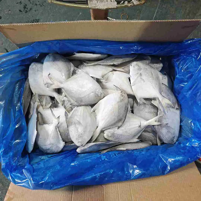 Biały Pomfret Premium Kartonowy Cały Okrągły