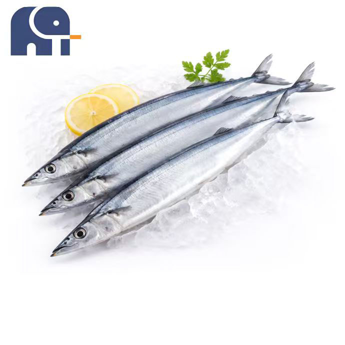 Zimowe mrożone Saury z Pacyfiku Cała runda